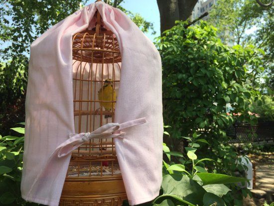 サラ d ルーズベルト パーク